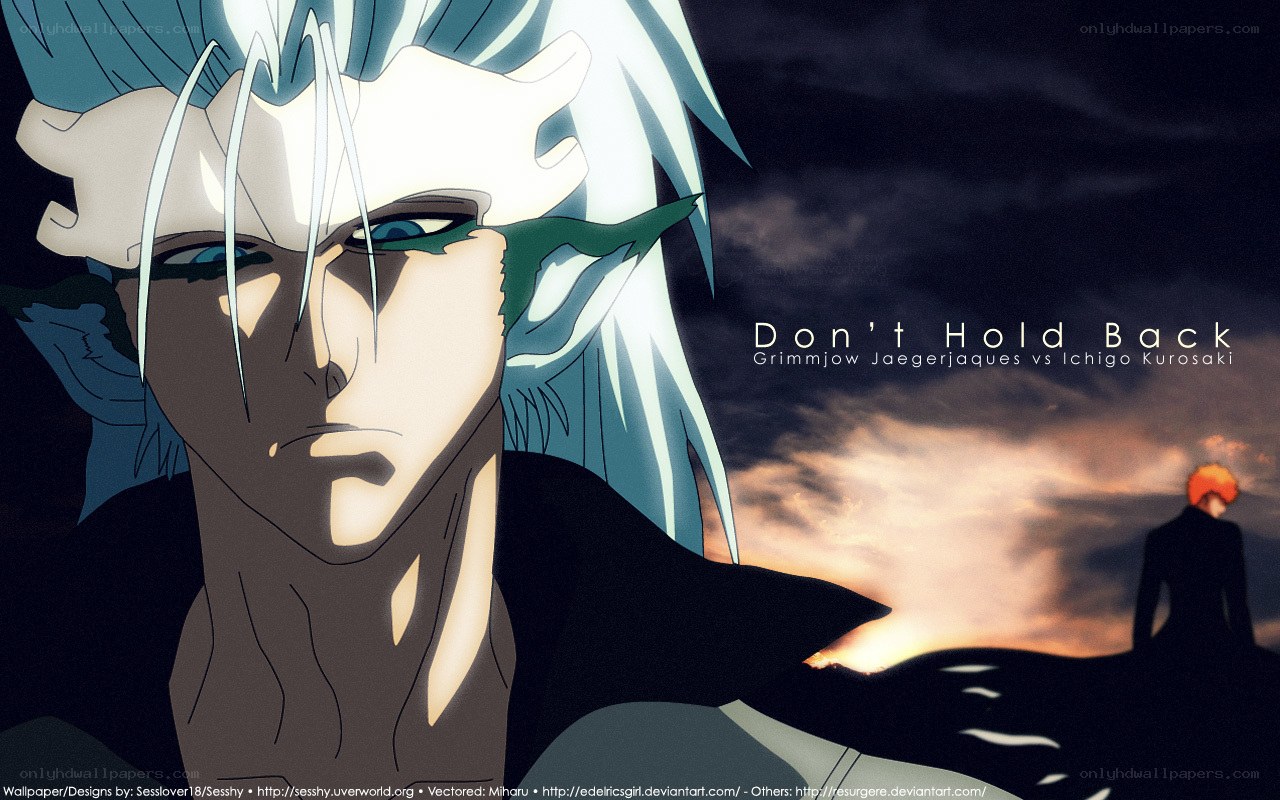 Grimmjow vs Ichigo battle
