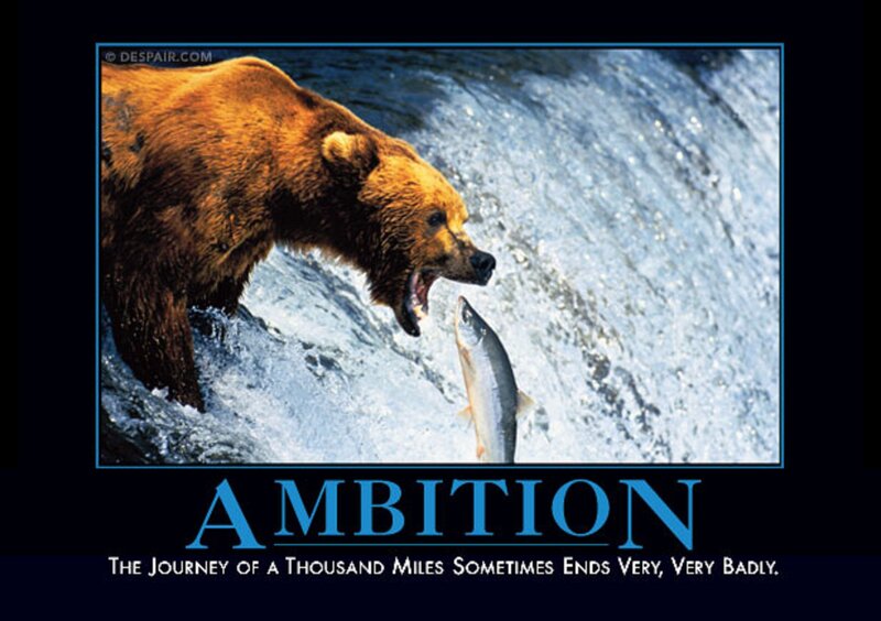 Grizzly Bear Catching Fish — Brown