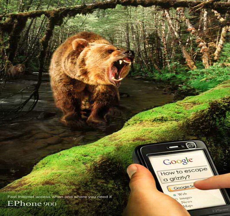 Grizzly Bear in Forest — Green