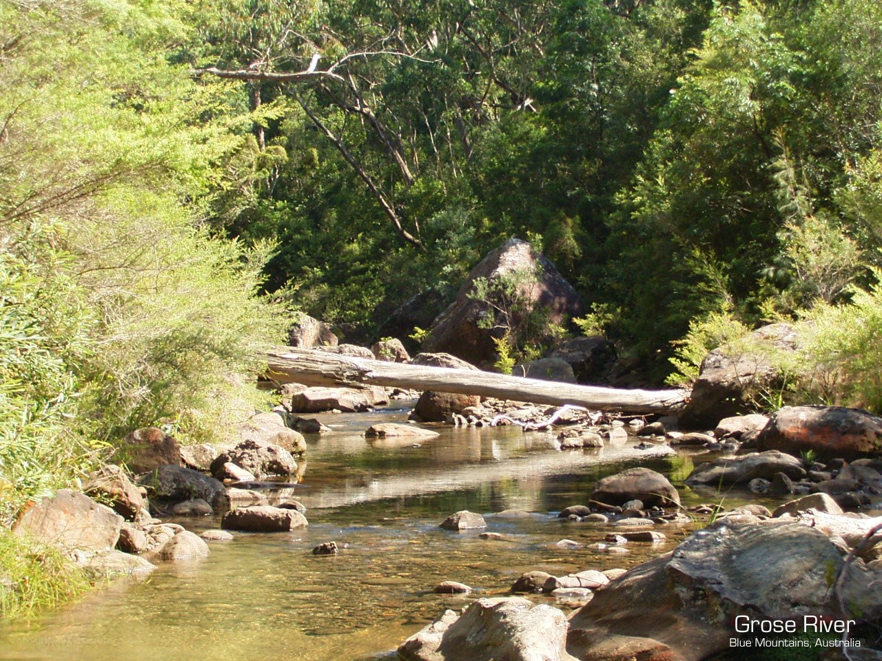 Grose River in Blue Mountains