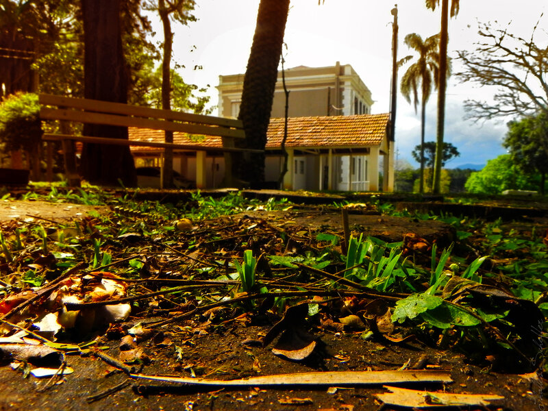 Ground Covered in Debris