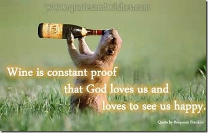 Groundhog Drinking Wine