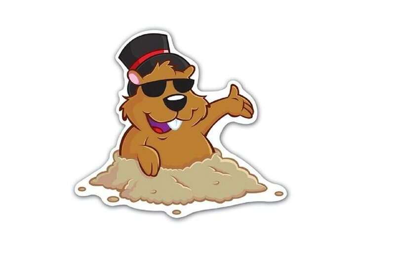 Groundhog in Dirt