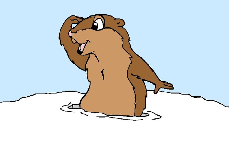 Groundhog in Snow — Brown