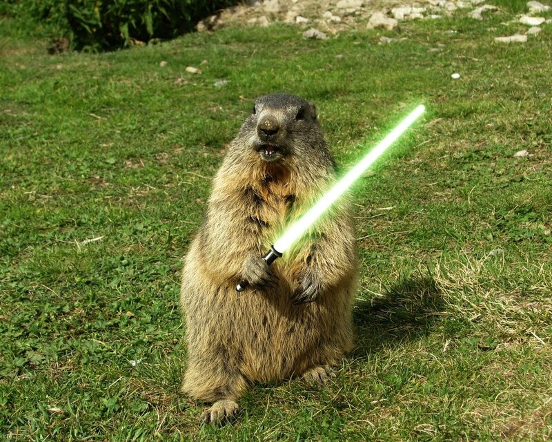 Groundhog with Lightsaber — Green