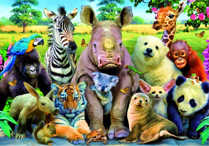 Group of Baby Animals