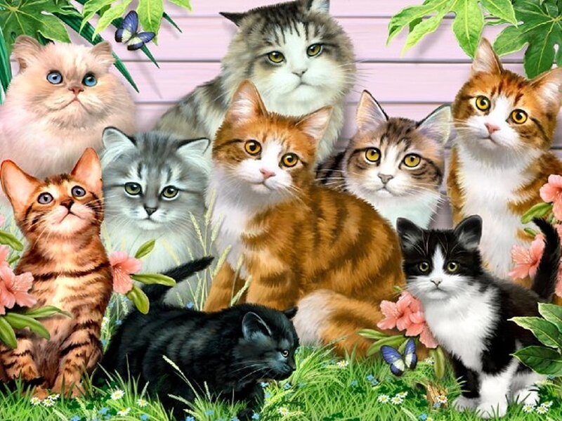 Group of Cats in Garden