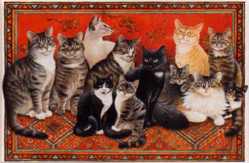 Group of Cats on Rug