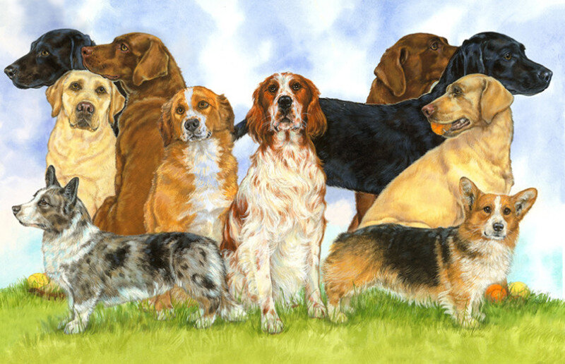 Group of Dogs on Grass