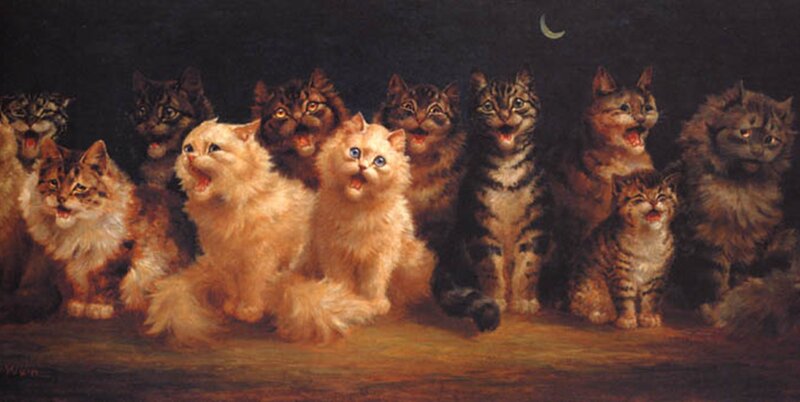 Group of Kittens Howling