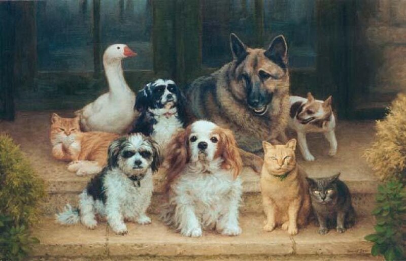 Group of Pets on Steps