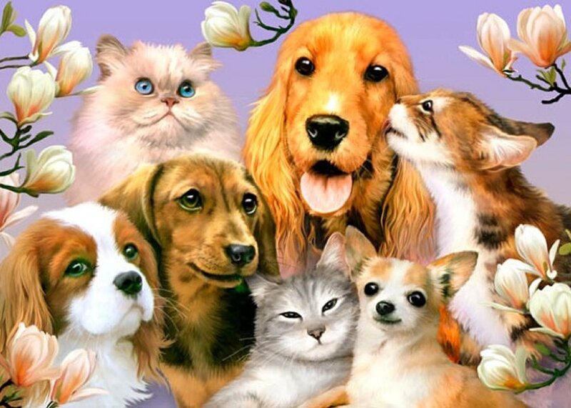 Group of Pets Together