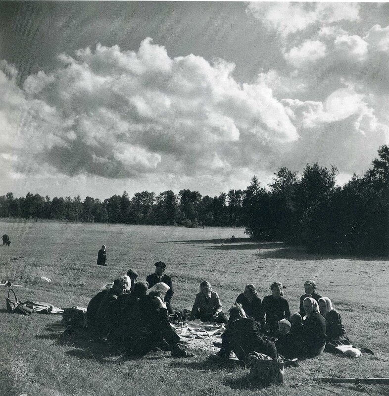 Group picnic in a field