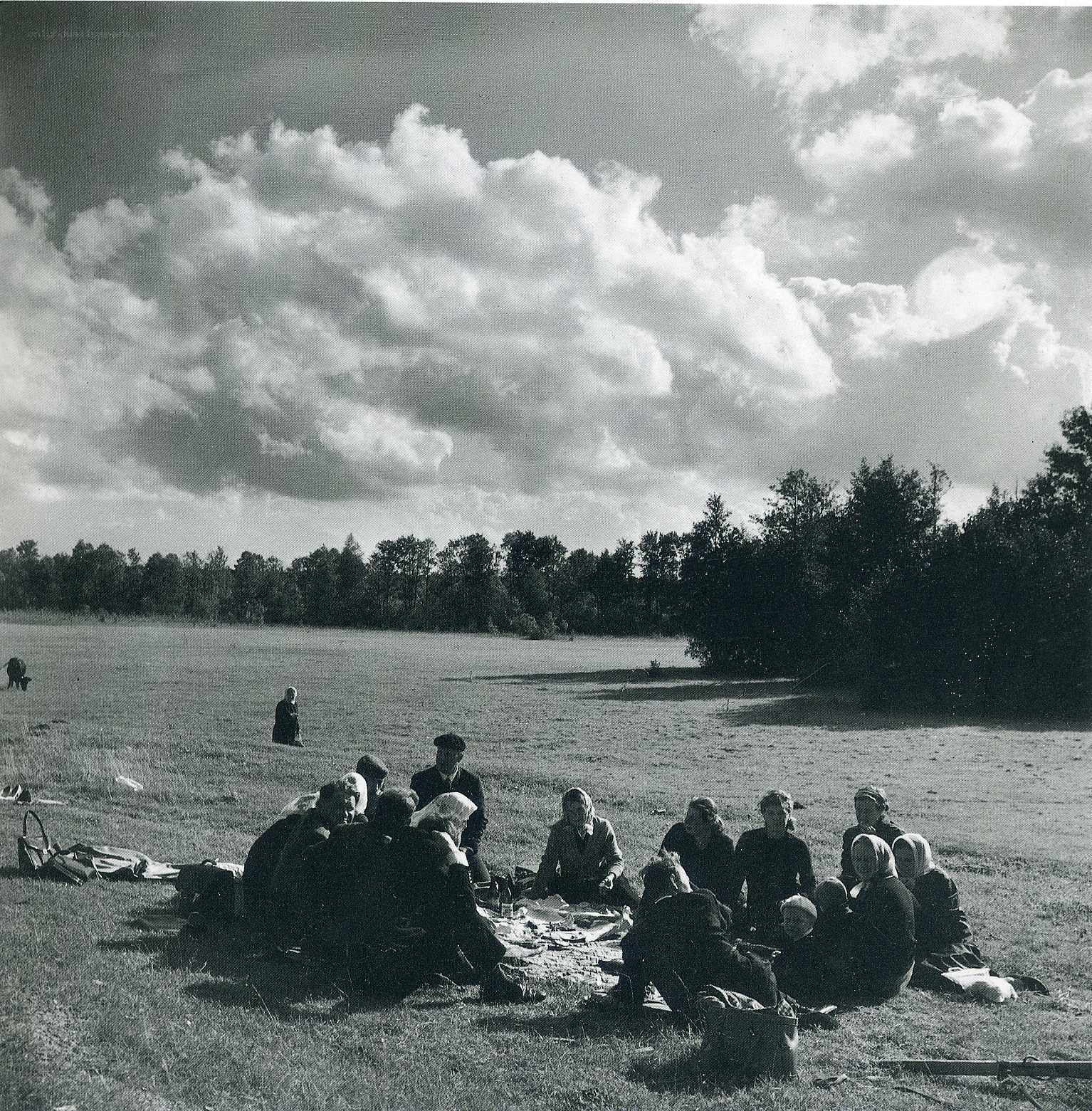 Group picnic in a field