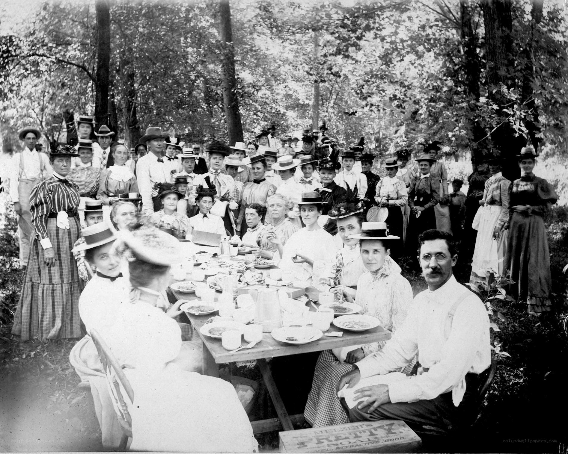 Group picnic in the woods