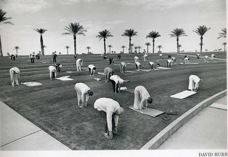 Group yoga on a lawn