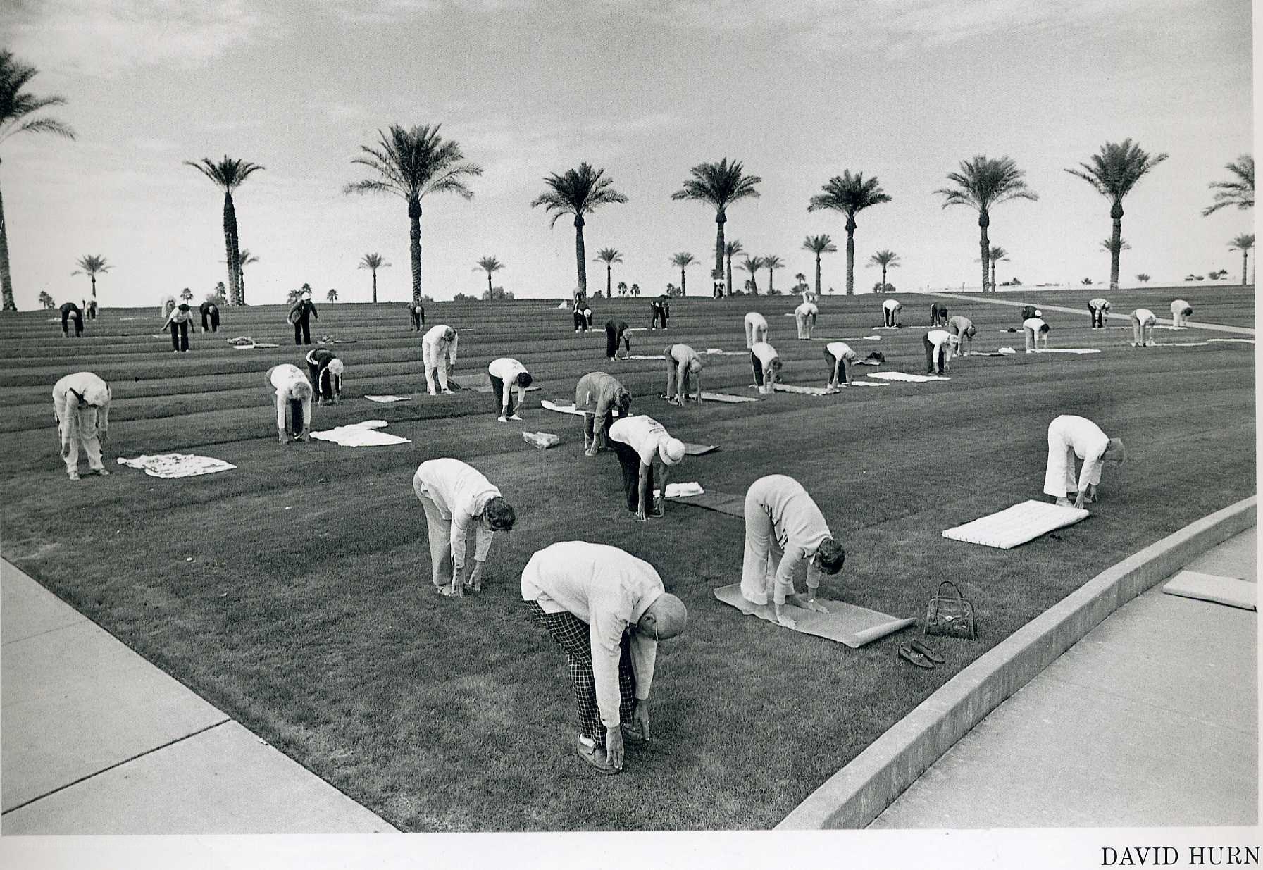 Group yoga on a lawn
