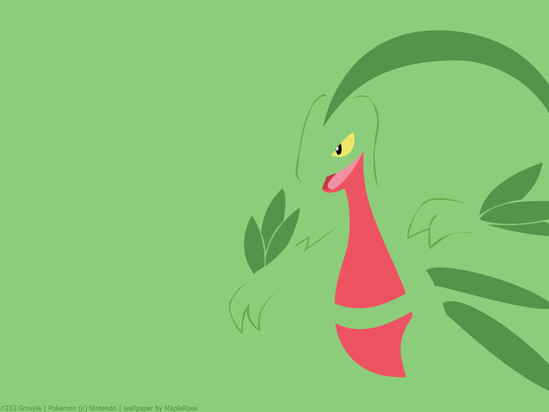 Grovyle Character