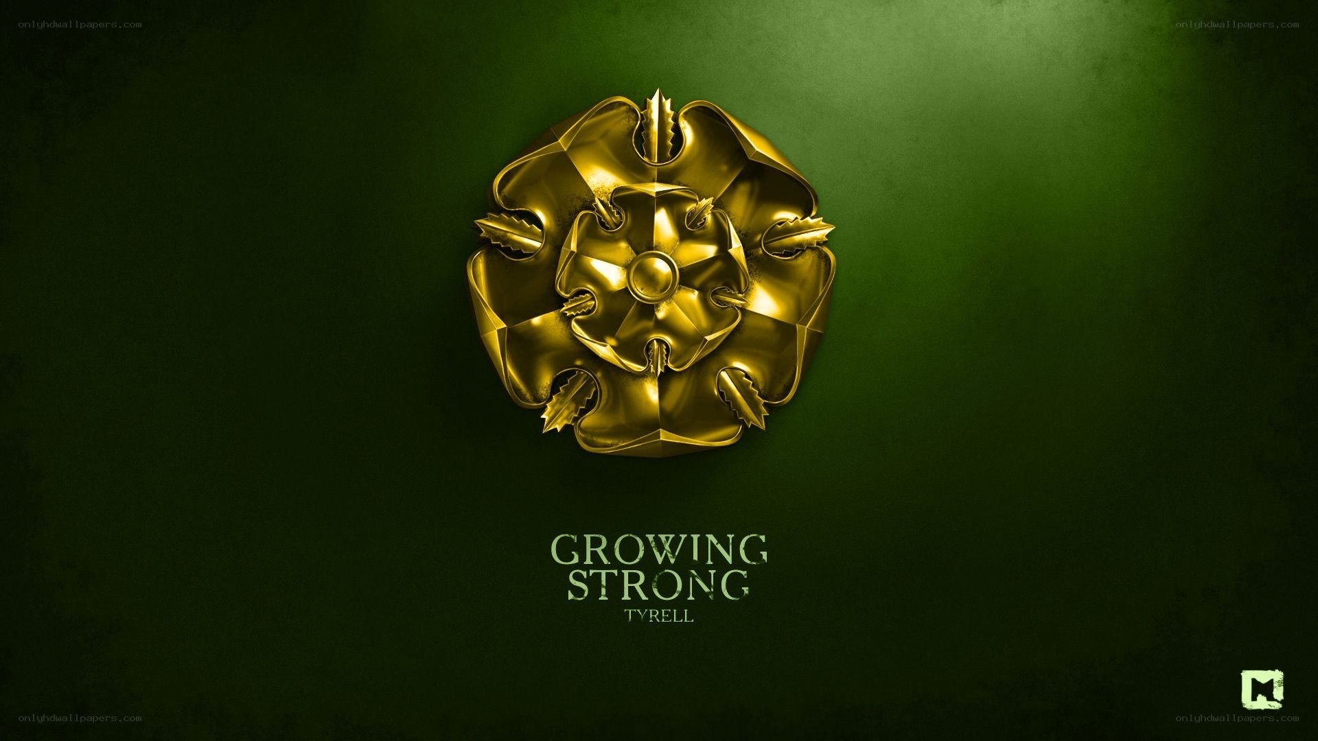 Growing Strong Tyrell