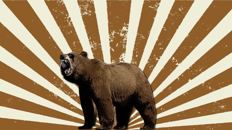 Growling Brown Bear — Aggressive, Illustration, Sunburst Pattern