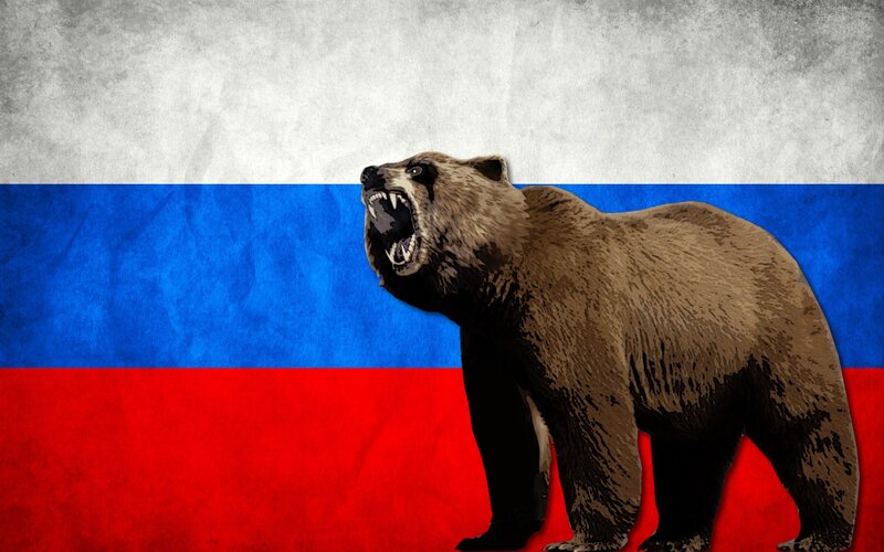 Growling Brown Bear — Aggressive, Illustration
