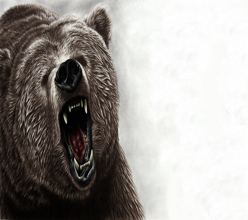 Growling Brown Bear — Aggressive