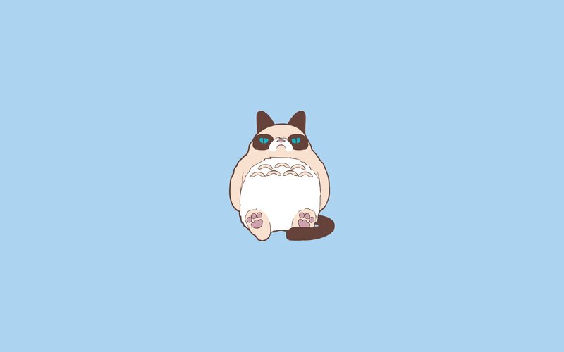 Grumpy Cat Character