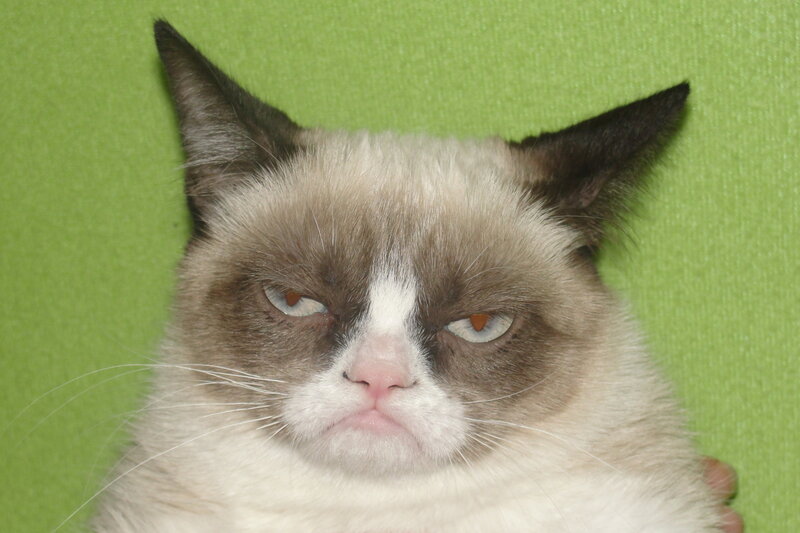 Grumpy Cat — Green
