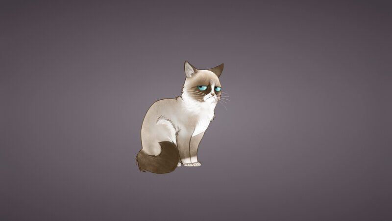 Grumpy Cat Illustration — Gray