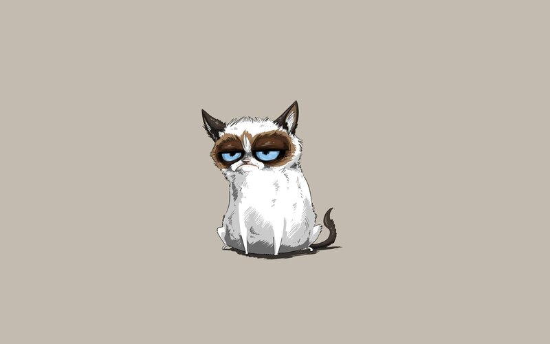 Grumpy Cat Illustration — White, Neutral