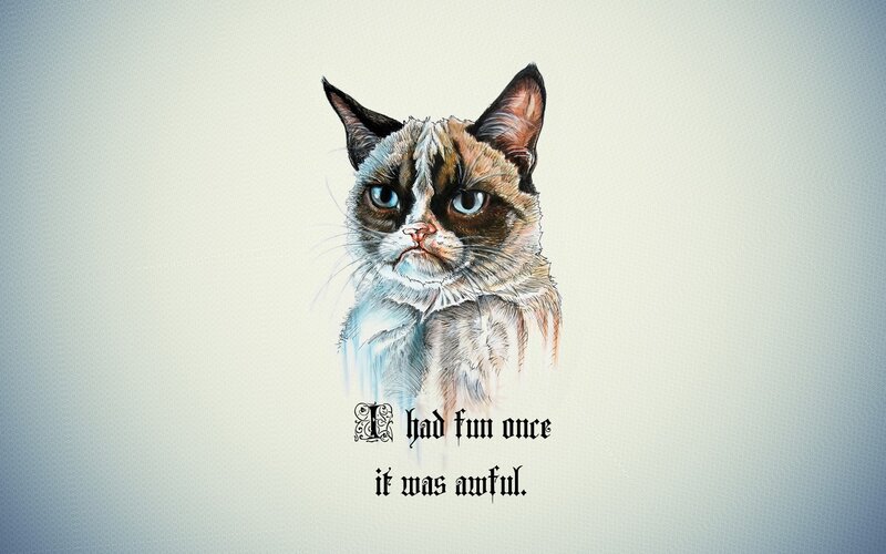 Grumpy Cat Illustration — White, Serious