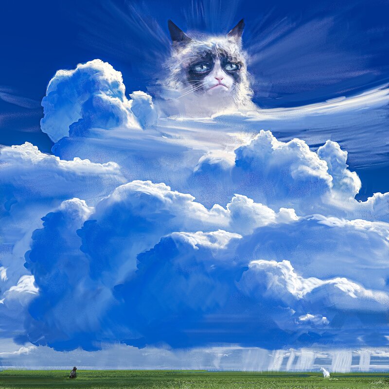 Grumpy Cat in Clouds