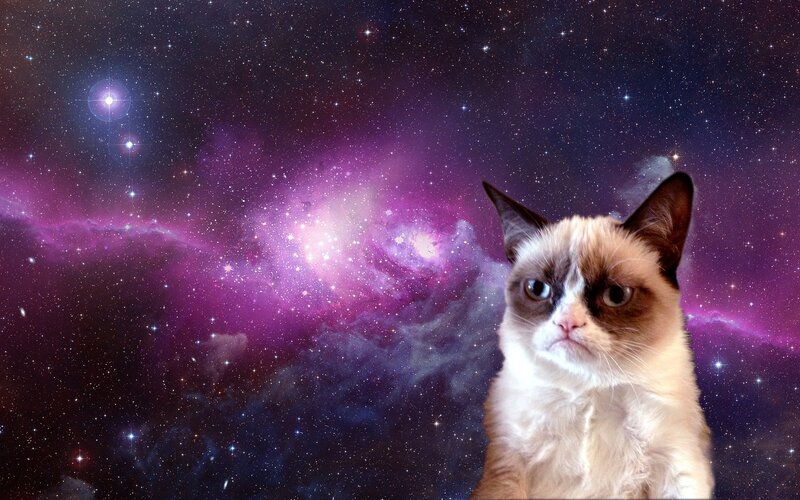 Grumpy Cat in Space — Purple, Cosmic