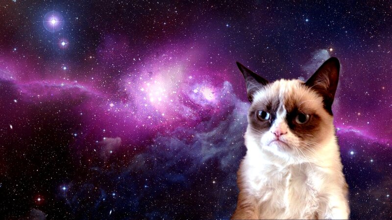 Grumpy Cat in Space — Purple
