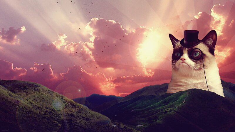 Grumpy Cat in Top Hat