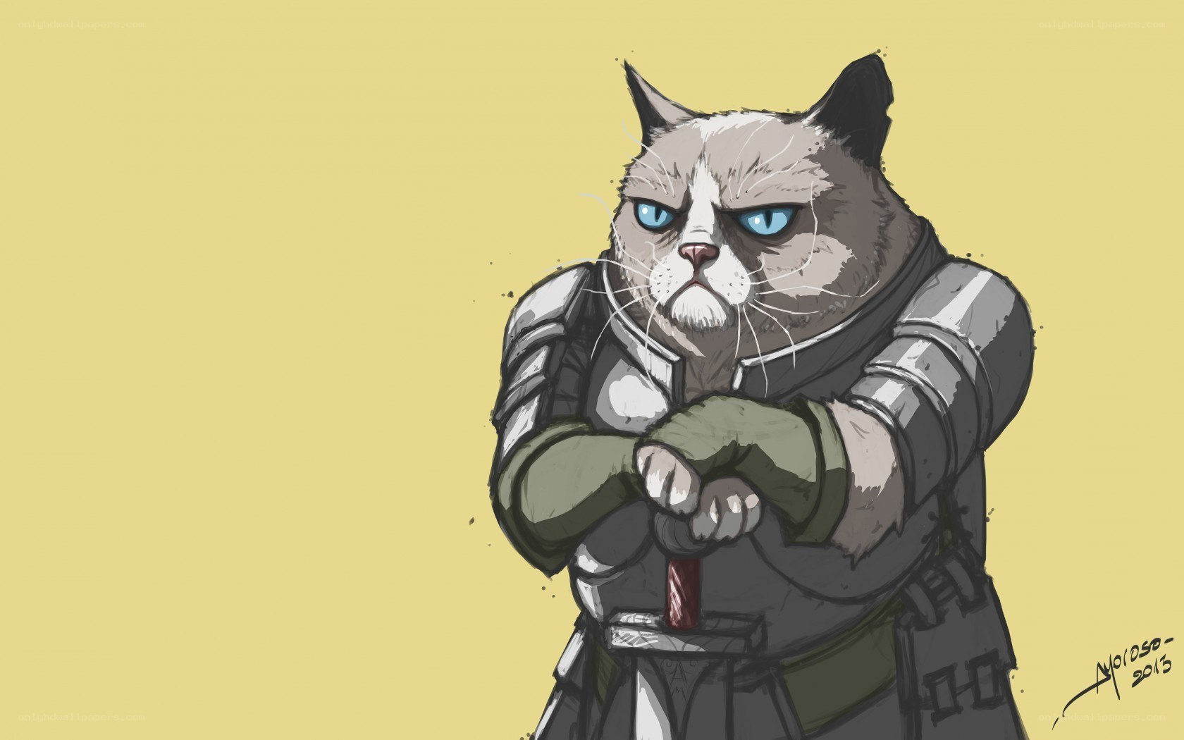 grumpy cat knight