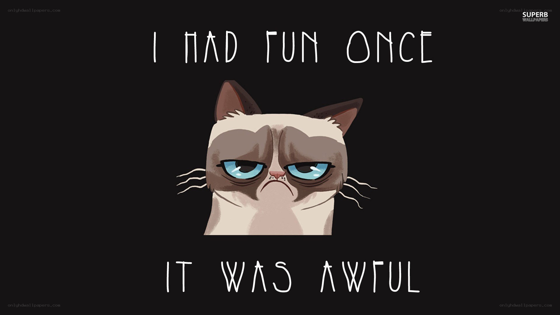grumpy cat meme