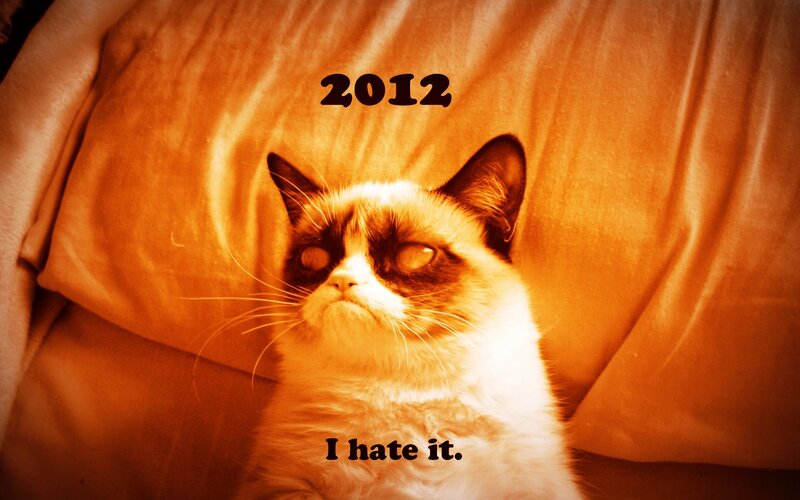 Grumpy Cat on Pillow — Orange