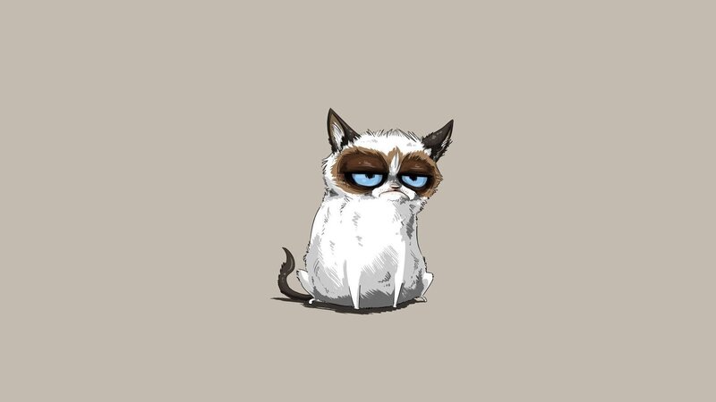 Grumpy Cat Sitting — Beige