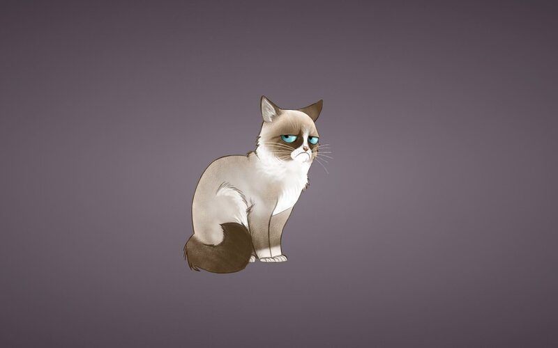 Grumpy Cat Sitting