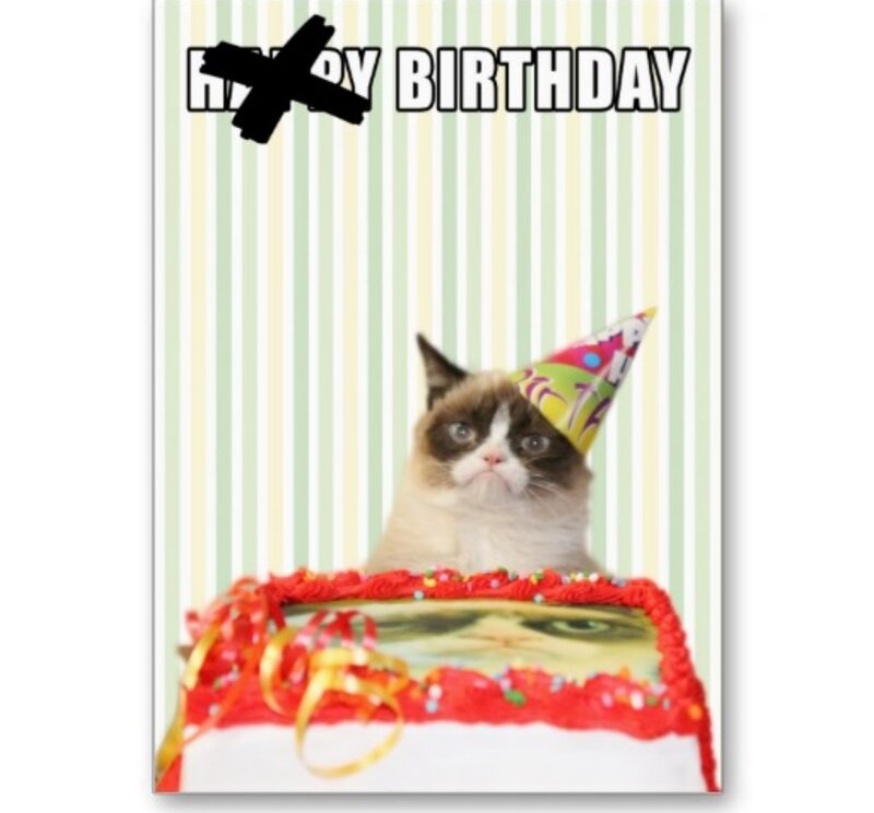 Grumpy Cat with Cake