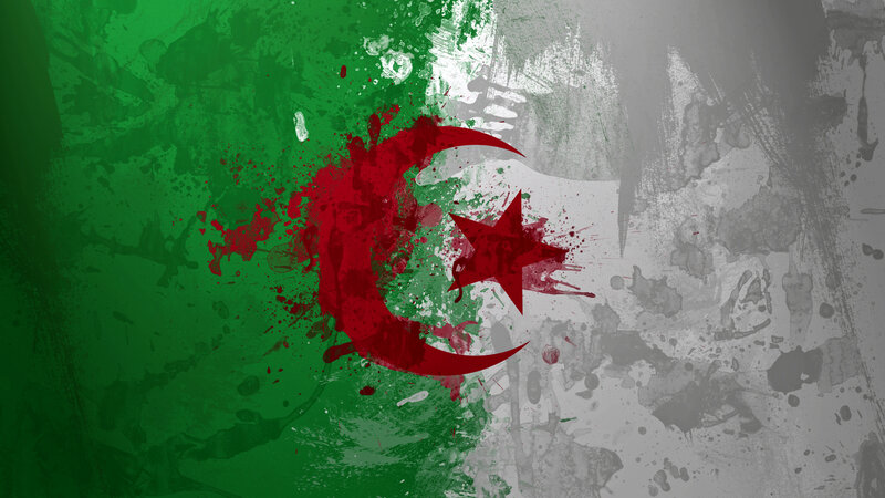 grunge algerian flag art