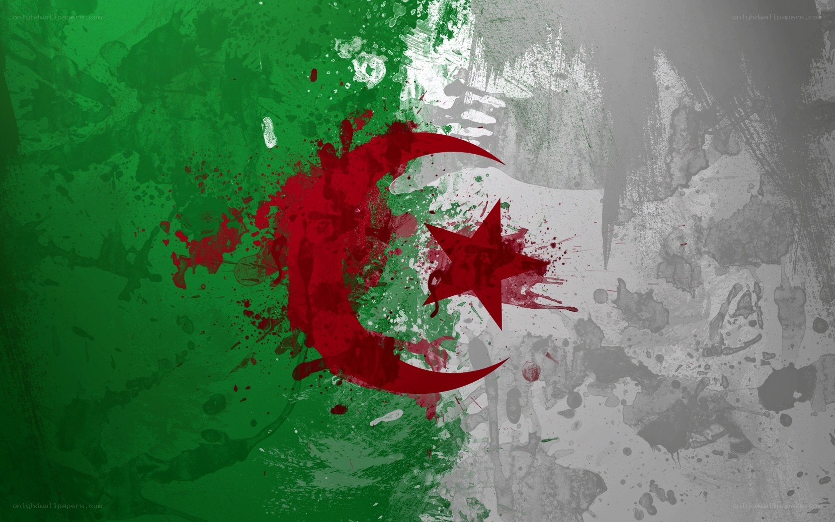 grunge algerian flag art