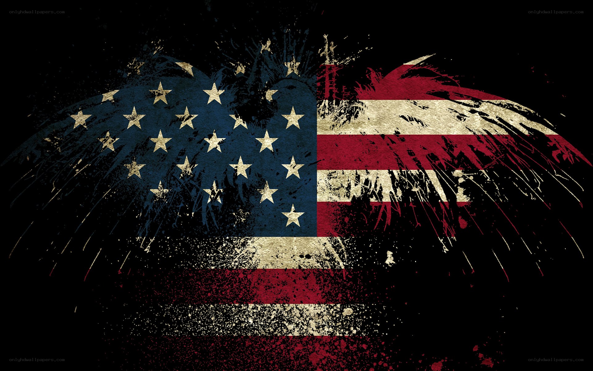 grunge american flag with wings