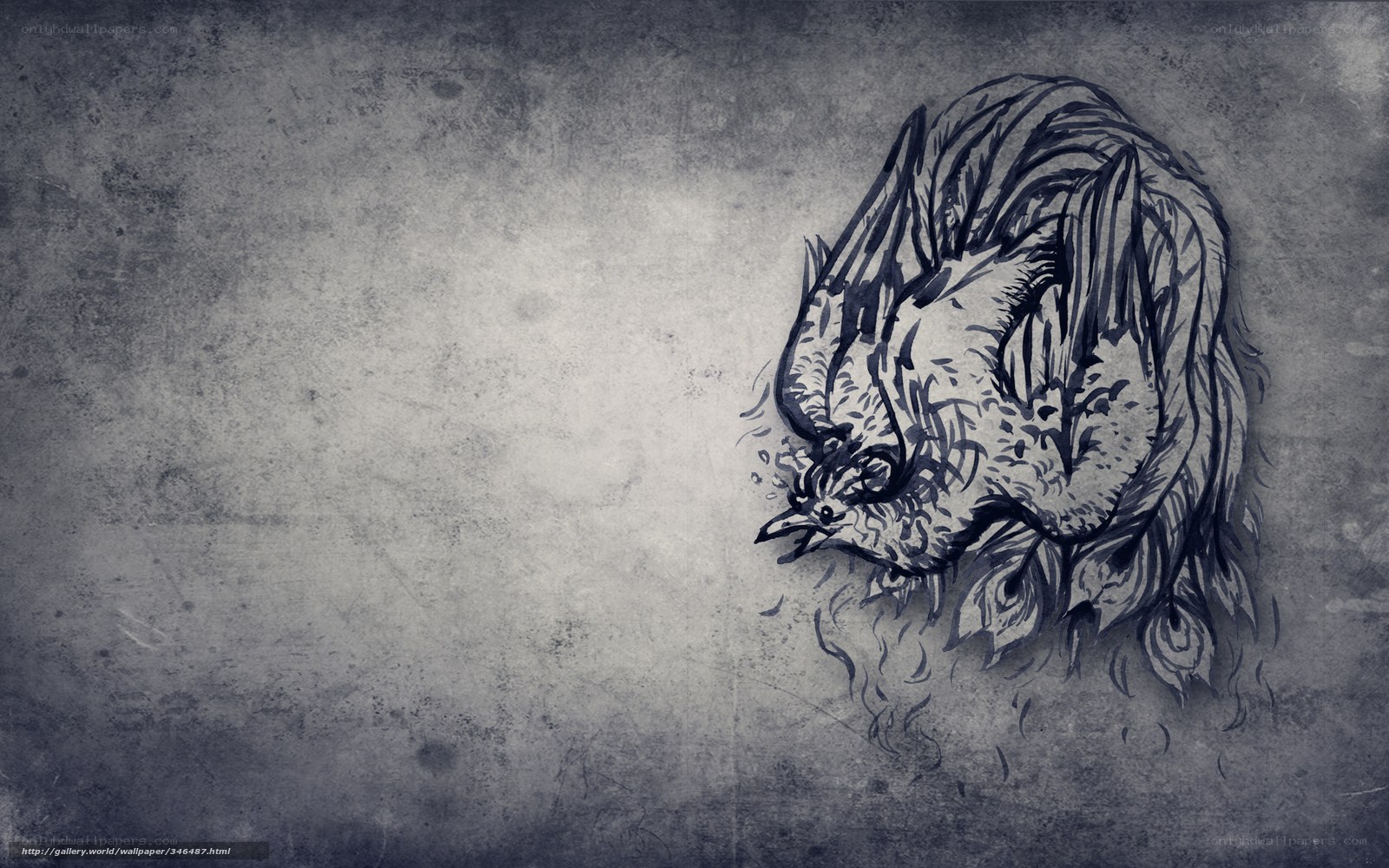 grunge bird illustration