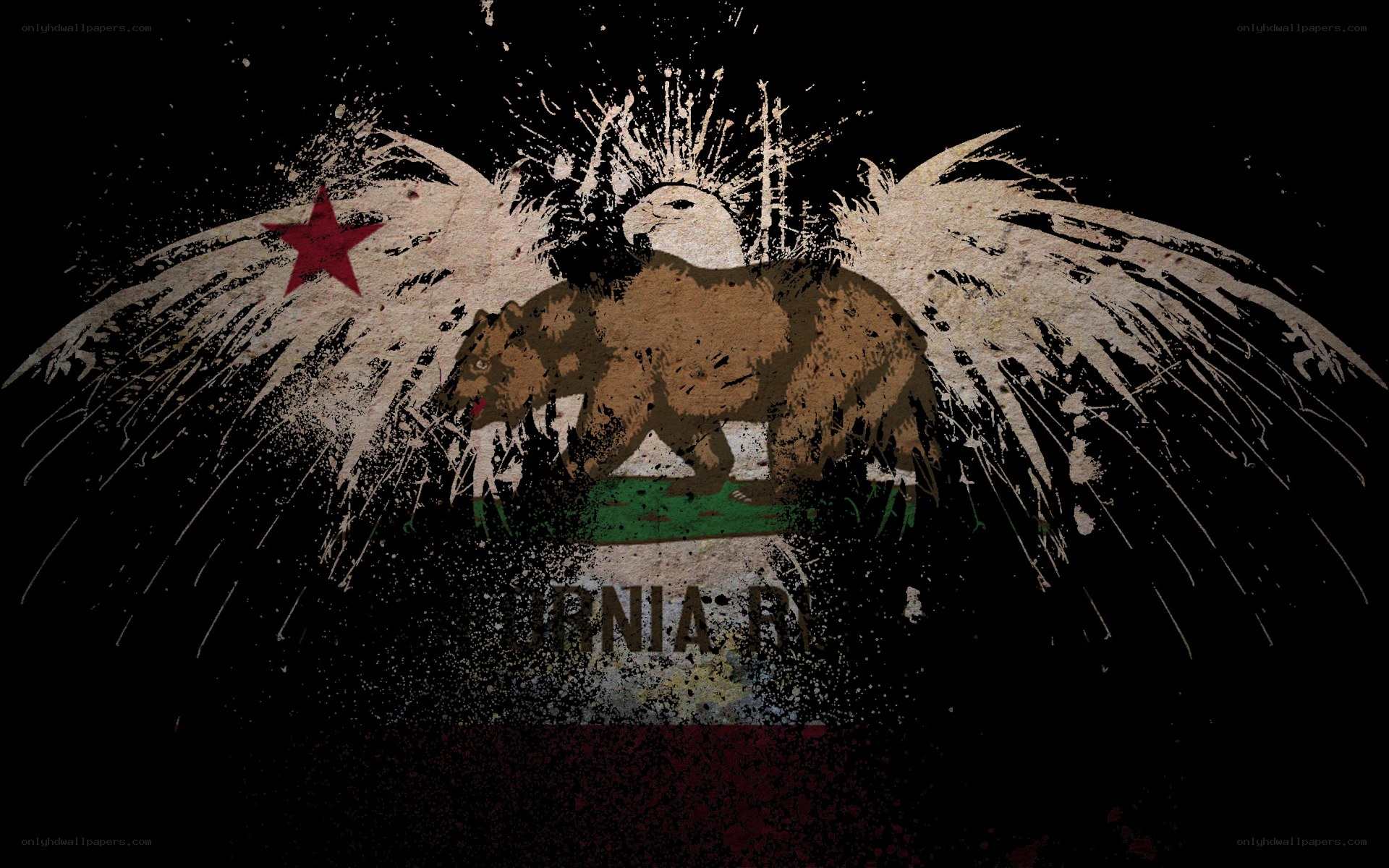 grunge california flag design