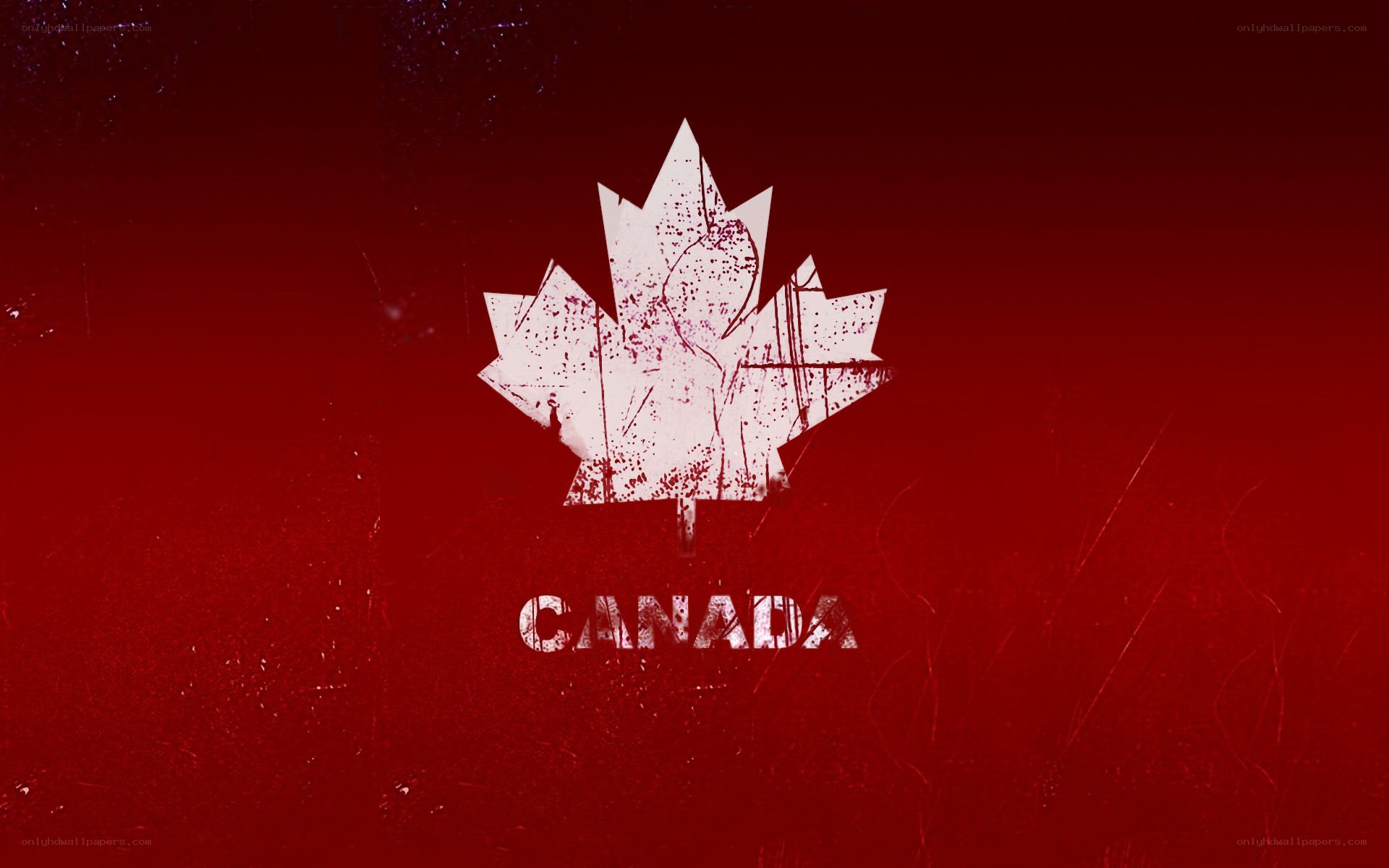 grunge canada maple leaf