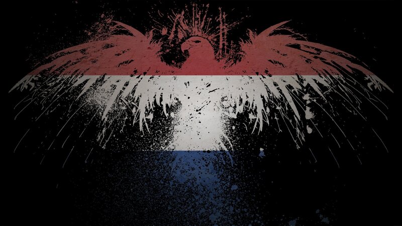 grunge eagle with flag colors