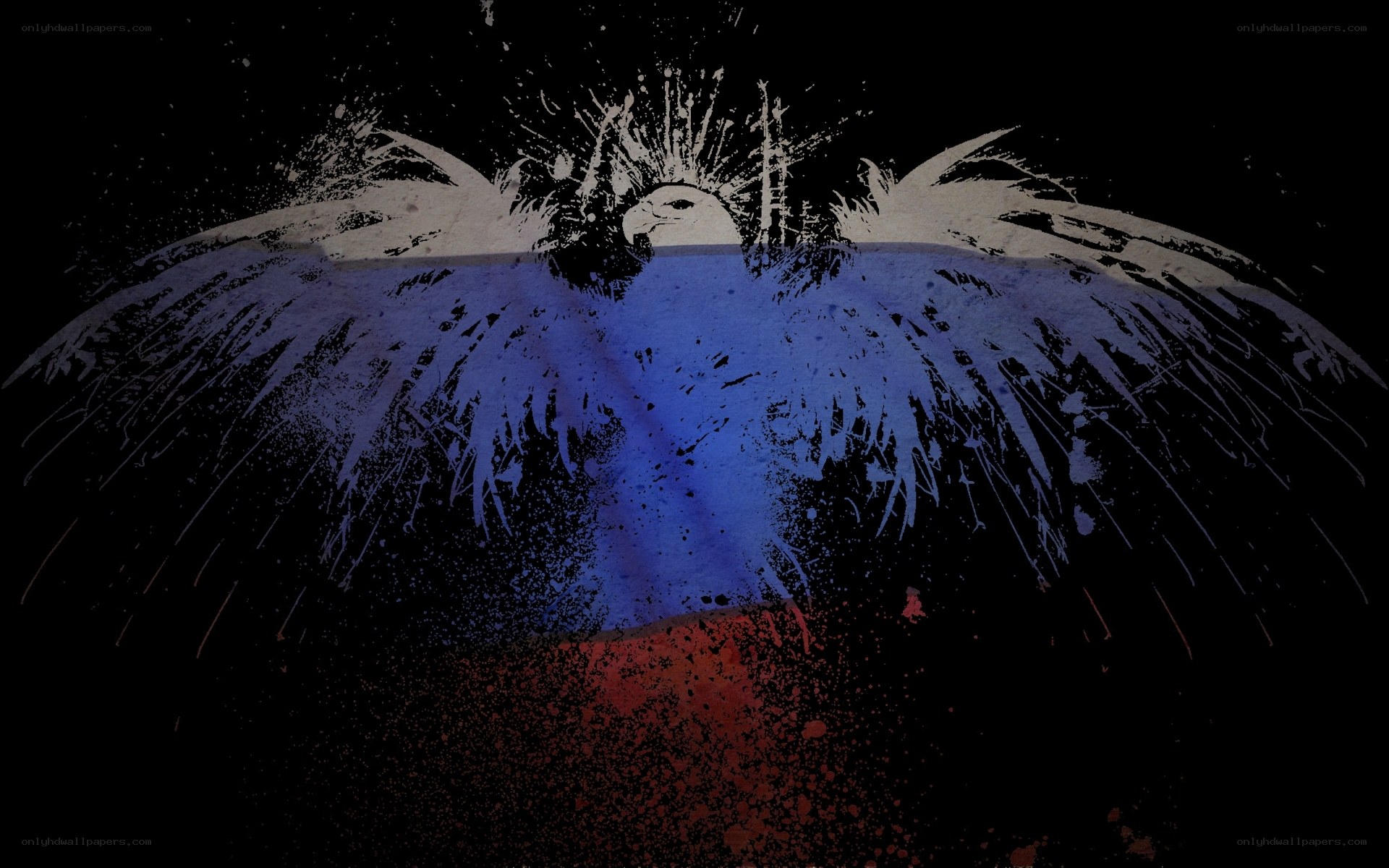 grunge eagle with flag colors