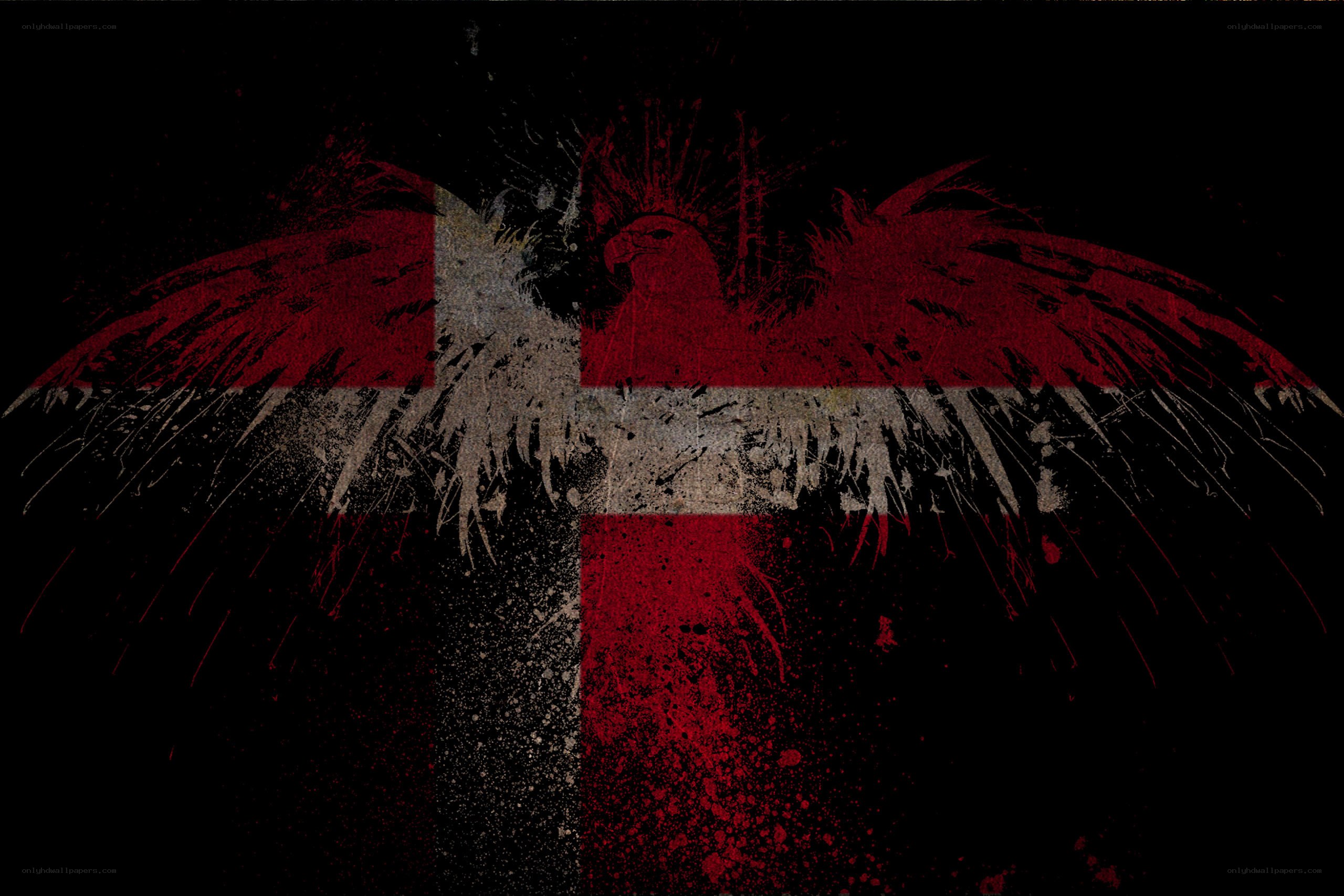 grunge eagle with flag design